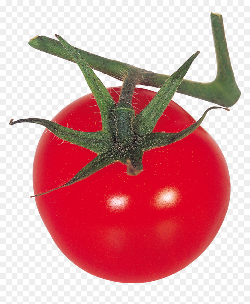 Red Tomatoes Png Image - Tomato, Transparent Png - tomatoes png