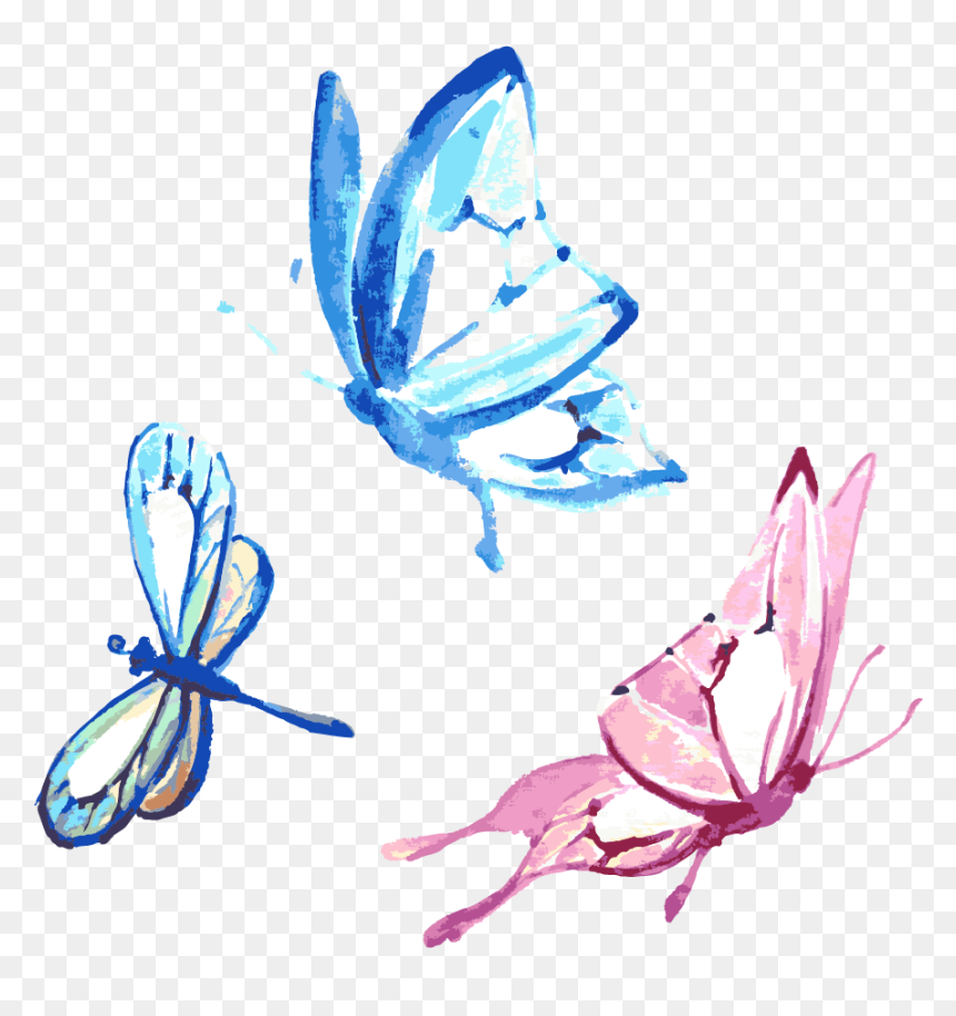 Black And White Library Feather Clipart Butterfly - Butterfly Water Color Vector, HD Png Download - mariposas png