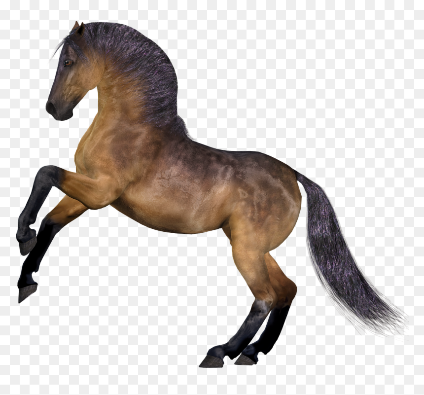 Horse Mane Horse Head, HD Png Download - horse head png