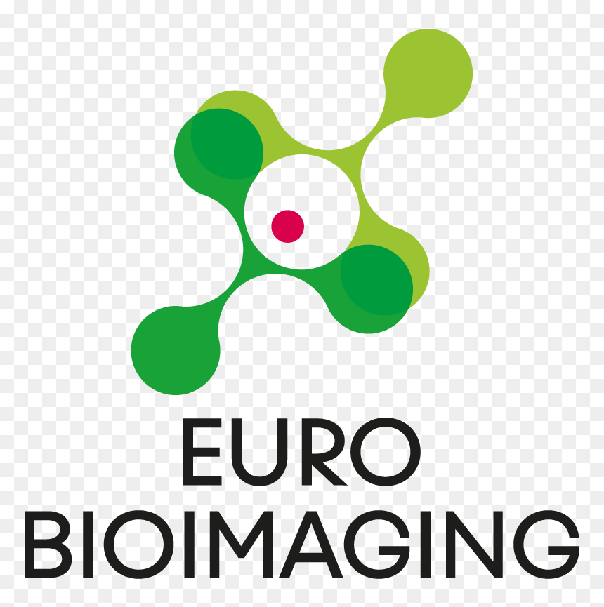 Logo Eubi - Graphic Design, HD Png Download - green light png