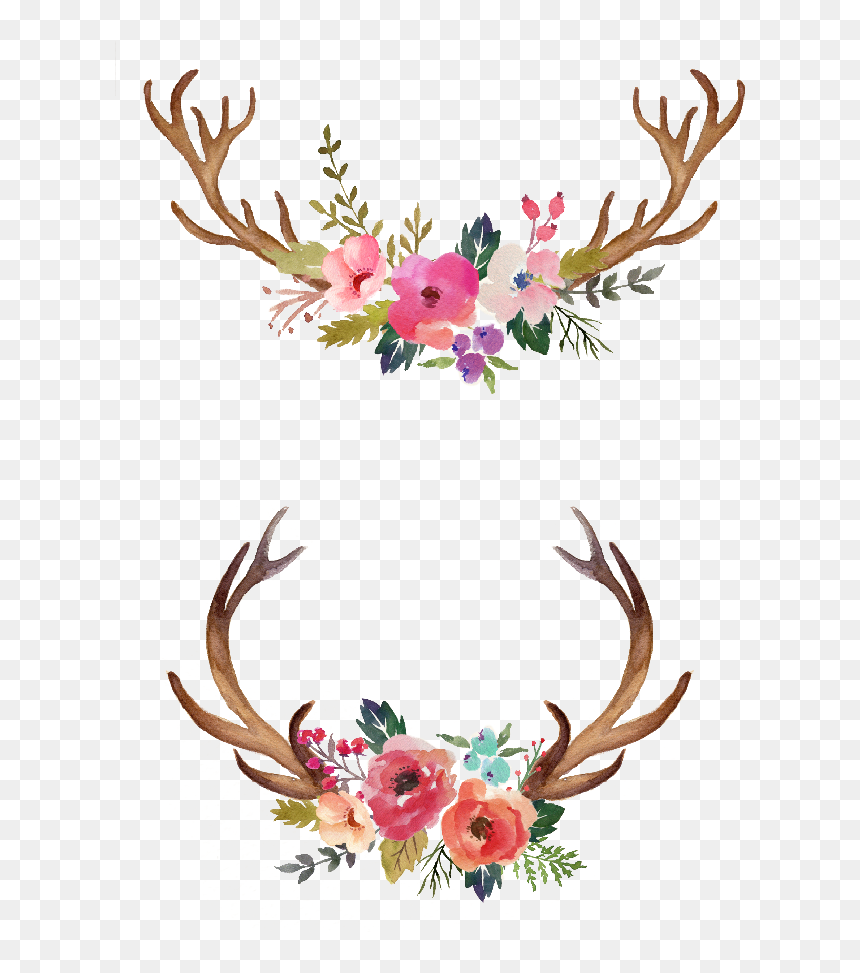 Watercolor Antlers With Flowers, HD Png Download - antlers png