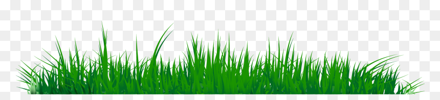 Clipart Image Of Grass, HD Png Download - grass.png
