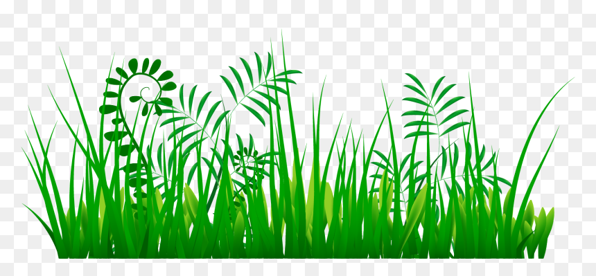 Yükle Grass Png Images - Portable Network Graphics, Transparent Png - grass.png