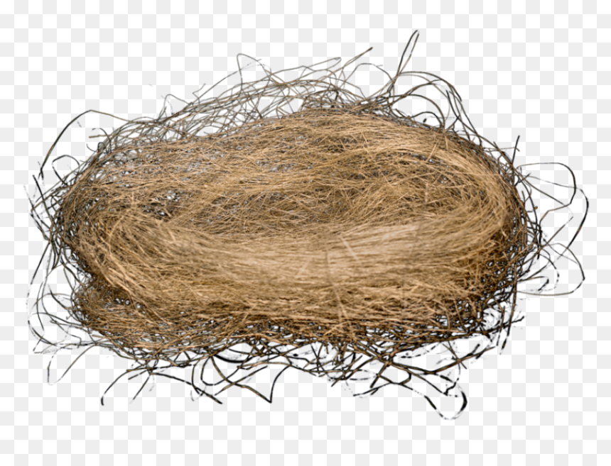 Bird Nest Png, Transparent Png - nest png