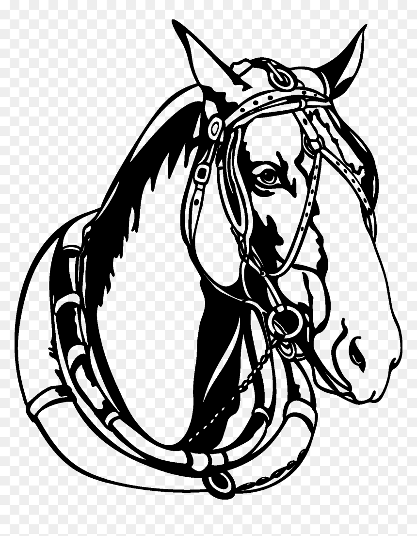 12 Horse Head Black And White Vectors [eps File] - Horse Vector Black And White, HD Png Download - horse head png