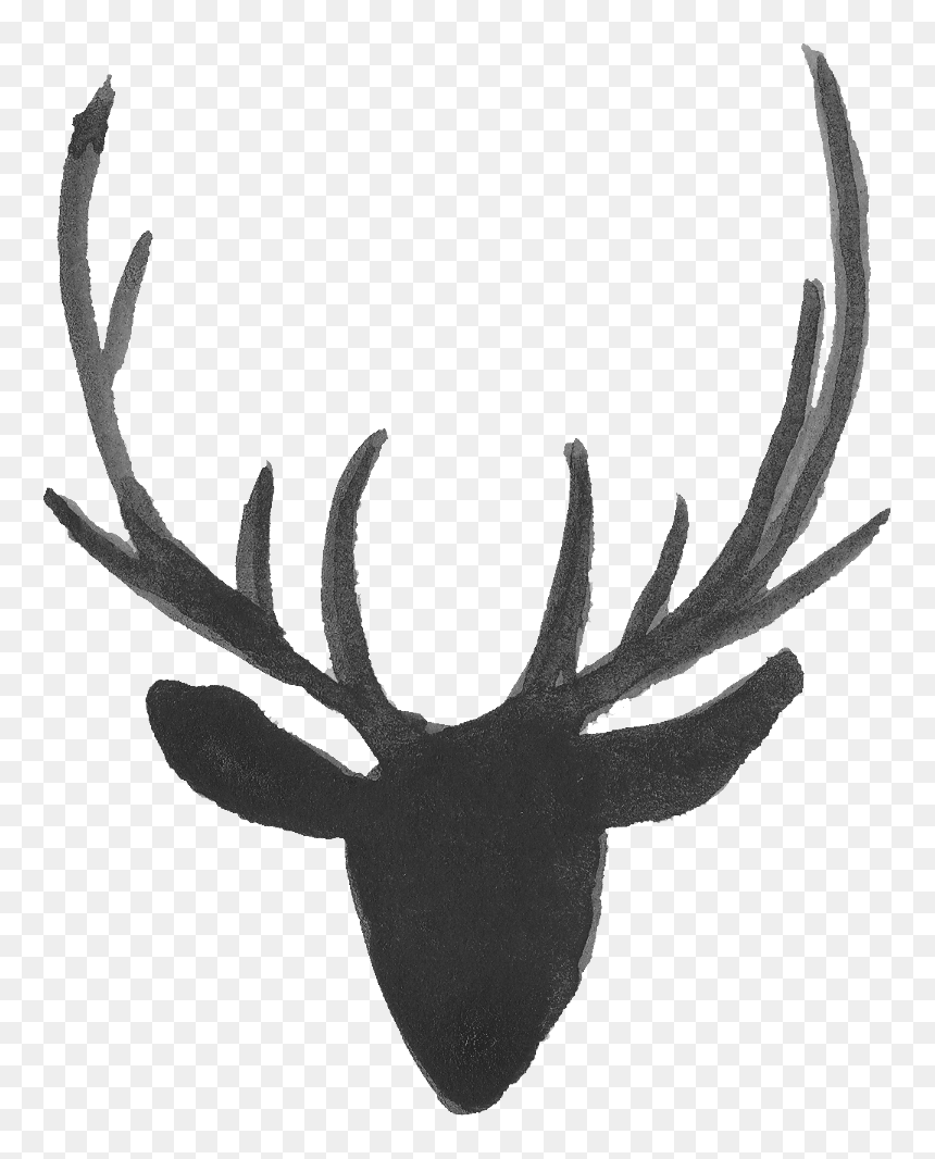 Reindeer Antler Moose Portable Network Graphics - Deer Silhouette Head Background, HD Png Download - antlers png