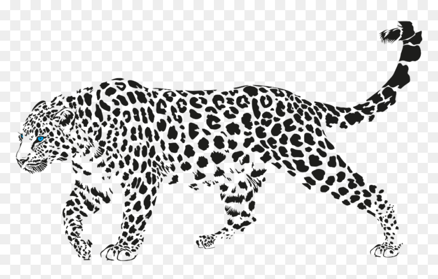 Jaguar Walking Png Pic - Panther In Udaipur City Palace, Transparent Png - walking png