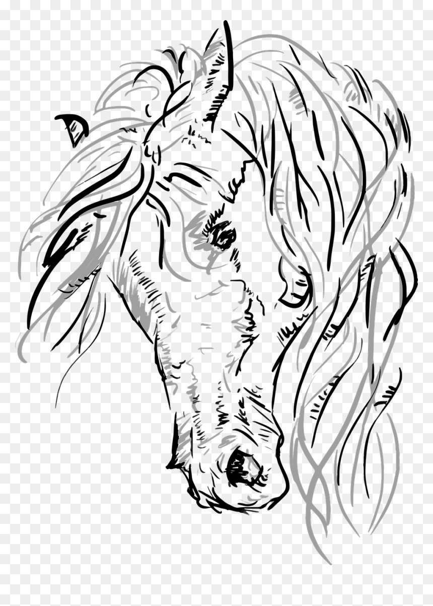 Horse Head Vector Png, Transparent Png - horse head png