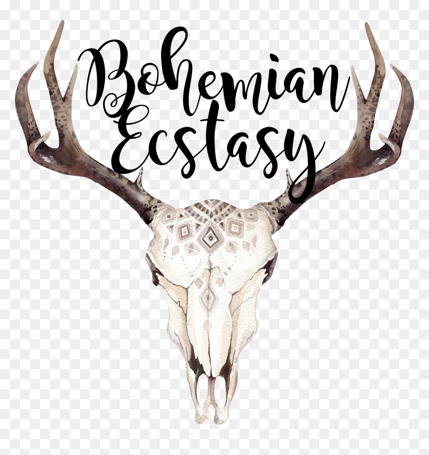 Bohemian Antlers Png Image Free - Illustration, Transparent Png - antlers png