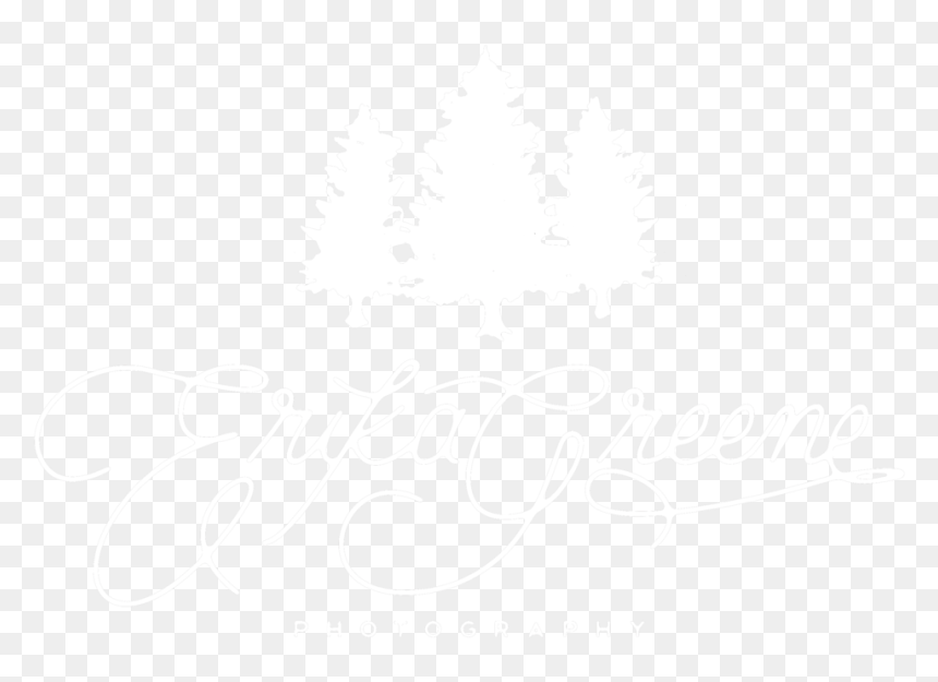 Egp White - Calligraphy, HD Png Download - photography png