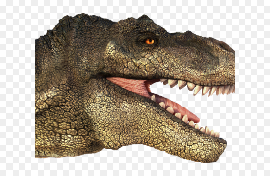 Transparent Tyrannosaurus Rex Png - T Rex Head Png, Png Download - t rex png