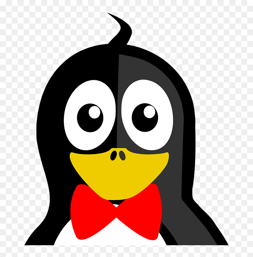 Bowtie Penguin Clipart - Pingouin Funny Joke, HD Png Download - bowtie png
