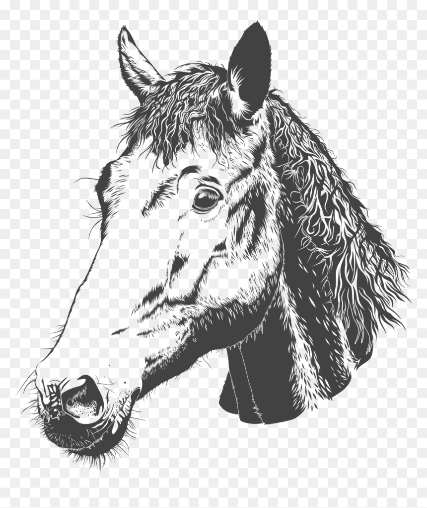 Horse, HD Png Download - horse head png