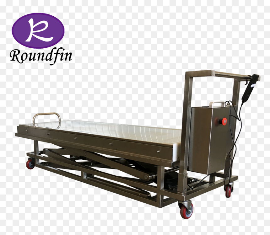 Cadaver, HD Png Download - dead body png