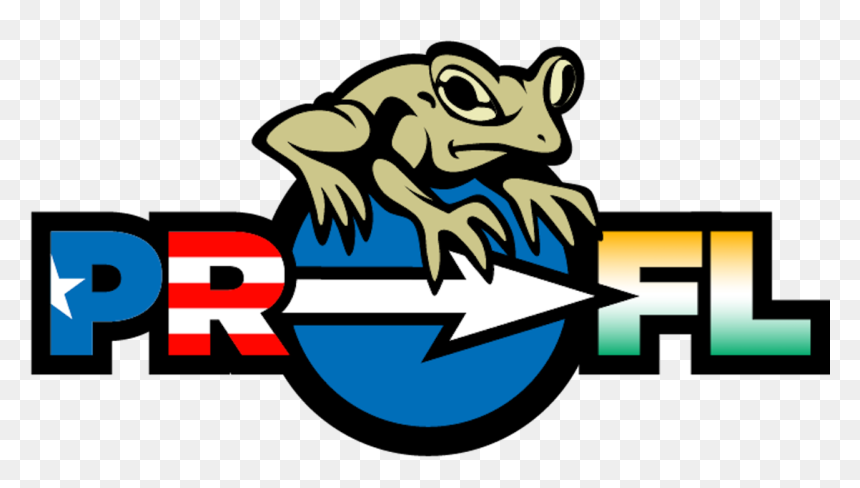 Floridians And Puerto Ricans, HD Png Download - puerto rico png