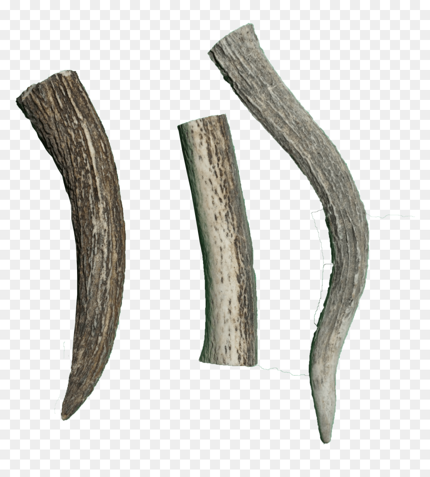 Wood, HD Png Download - antlers png