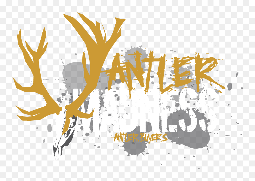 Antler Madness Antler Buyers - Graphic Design, HD Png Download - antlers png