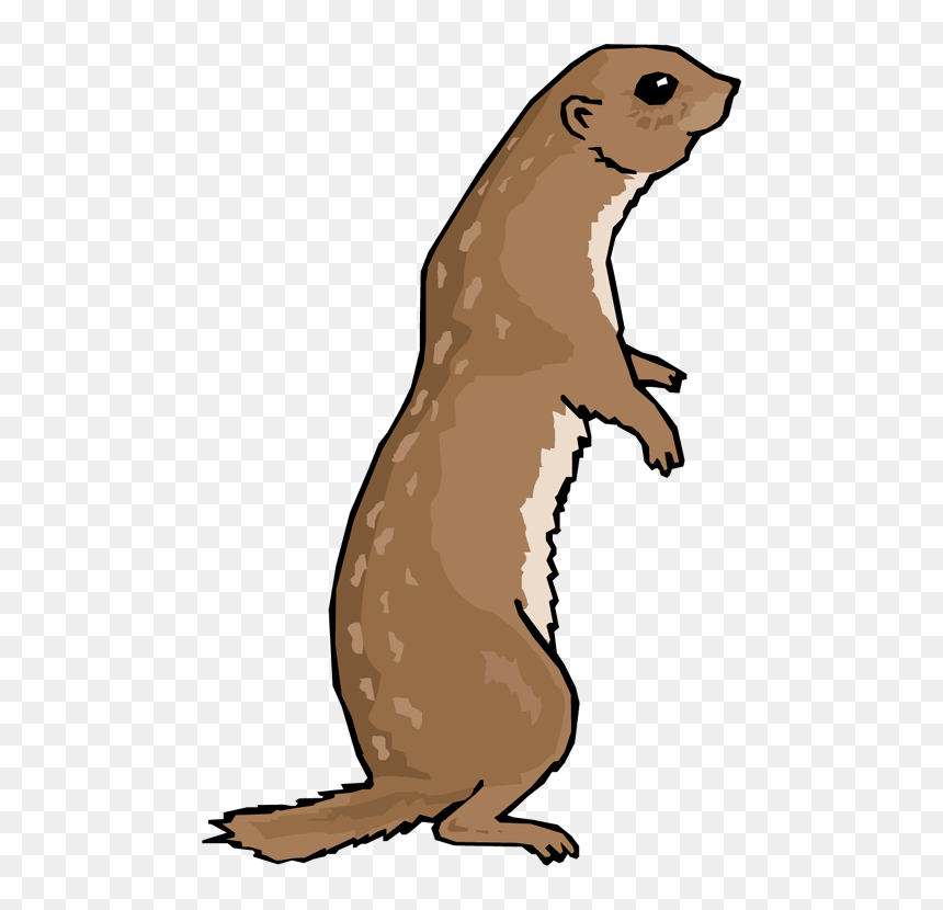 Otter Png File - Prairie Dog Clipart, Transparent Png - otter png