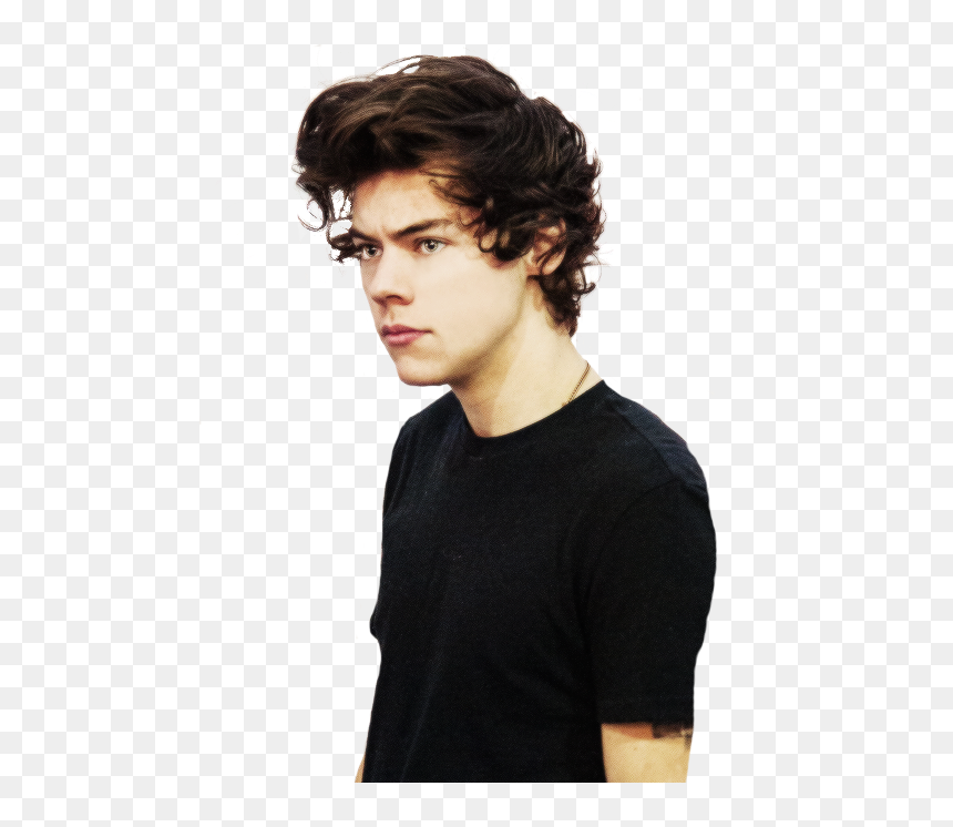 Thumb Image - Transparent Harry Styles Png, Png Download - harry styles png