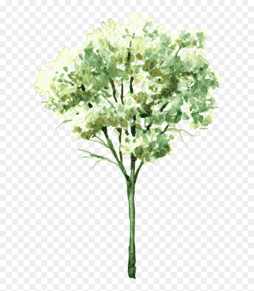 Transparent Shrubs Png - Trees Water Color Png, Png Download - shrubs png