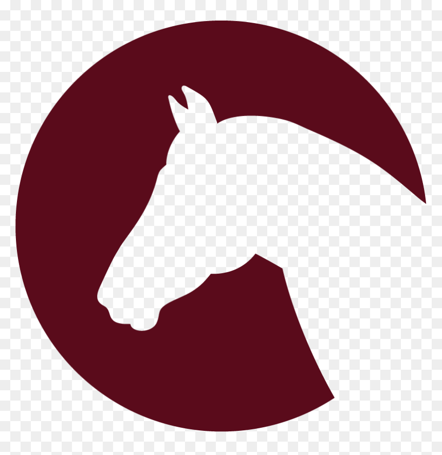 Horse Head Icon - Illustration, HD Png Download - horse head png