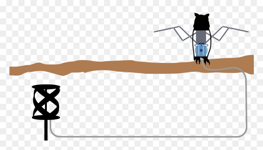 Illustration , Png Download, Transparent Png - conclusion png