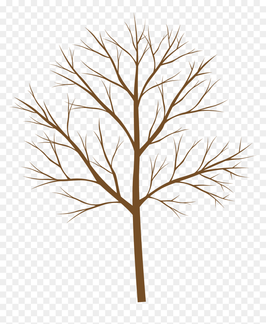 Vector, HD Png Download - tree branches png