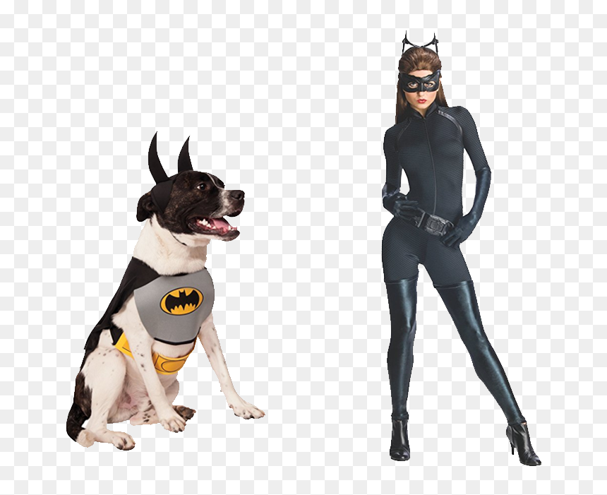 Dark Knight Catwoman Whip, HD Png Download - catwoman png