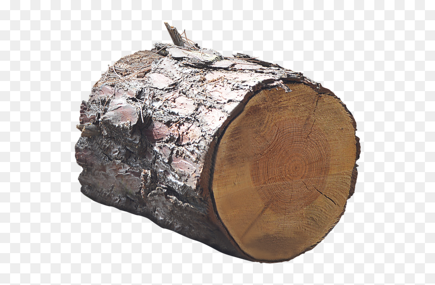 Wood Trunk Png, Transparent Png - tree trunk png
