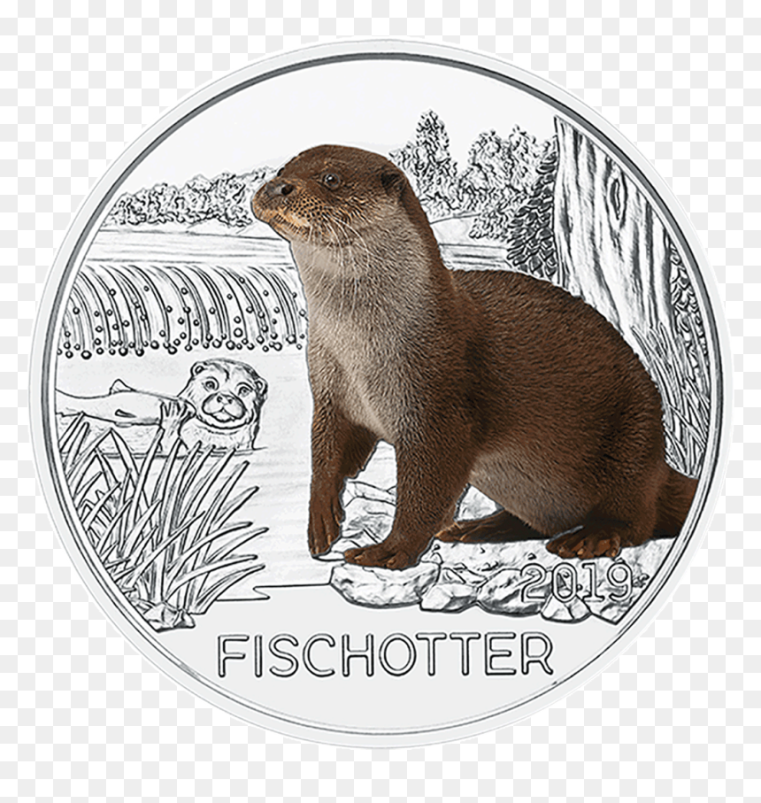 Ioes07190311 1 - 3 Euro Austria Fischotter 2019, HD Png Download - otter png