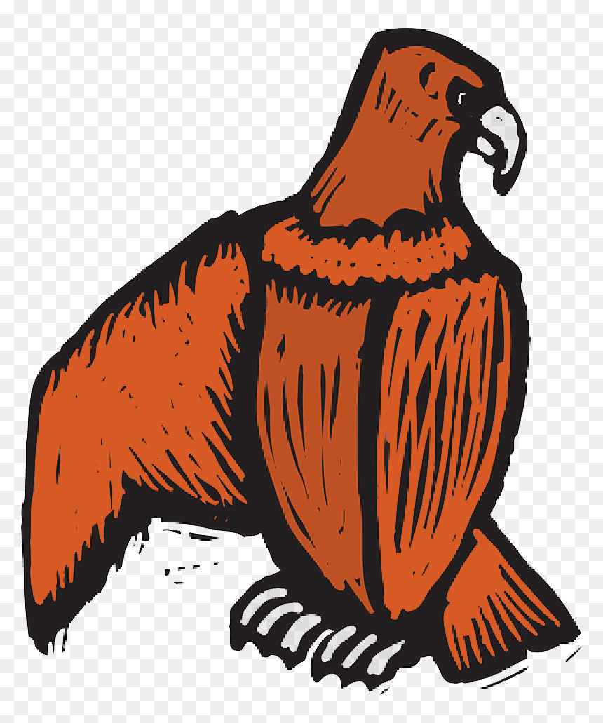 Eagle, Bird, Style, Wings, Art, Off, Beak, Scratch - Birds, HD Png Download - claw scratch png
