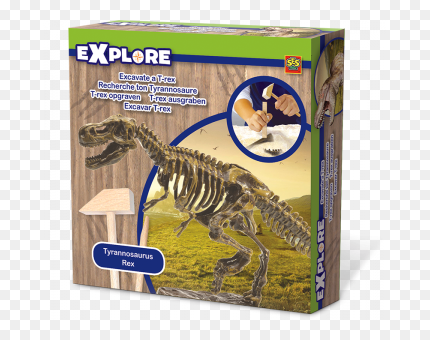 8710341250294, HD Png Download - t rex png