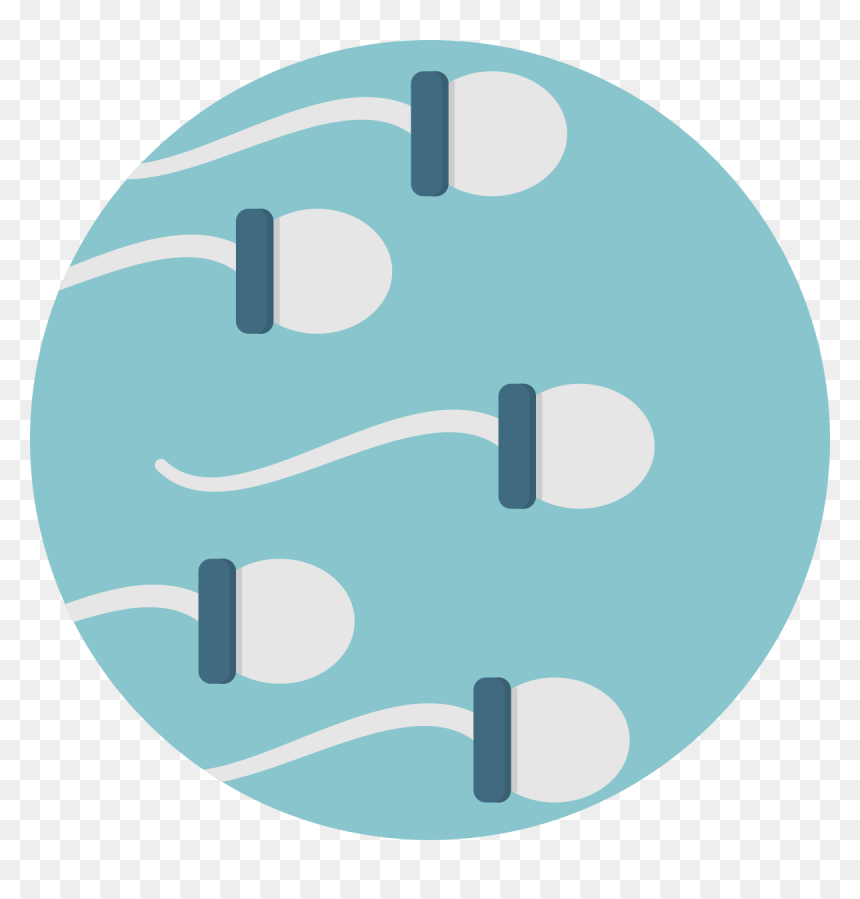 Sperm Icon, HD Png Download - sperm png