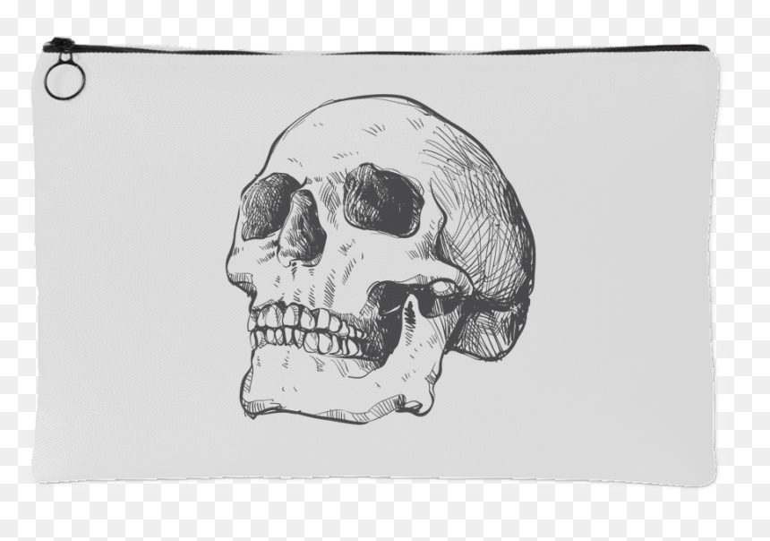 Hand Drawn Anatomical Human Skull - Love Scars, HD Png Download - scars png