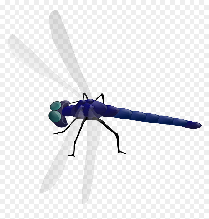 Dragonfly Clip Arts - Dragonfly Clipart Gif, HD Png Download - dragonfly png