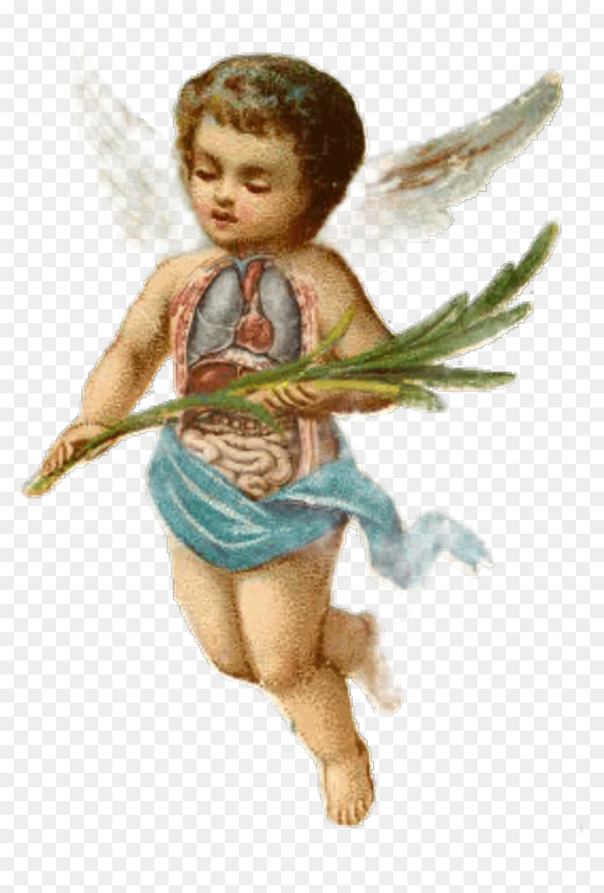 Baby Boy Angels , Png Download - Cherub Transparent, Png Download - angels png