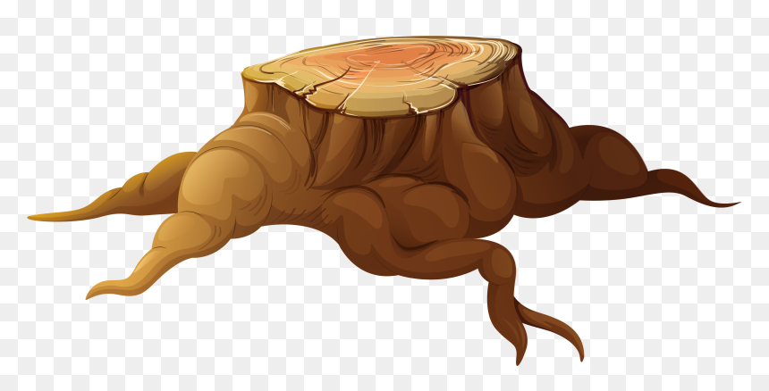 Tree Trunk Tree Stump Clipart - Tree Stump Clipart No Background, HD Png Download - tree trunk png