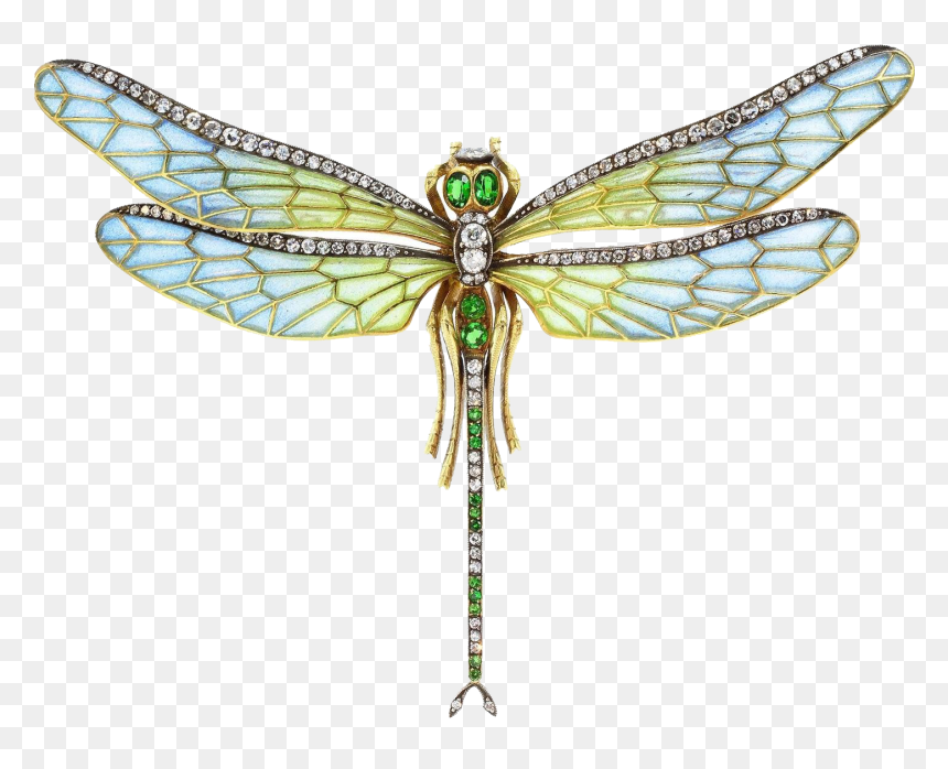 Dragonfly Png Transparent Images - Plique-à-jour, Png Download - dragonfly png