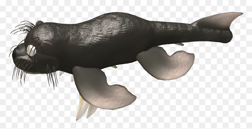 California Sea Lion, HD Png Download - otter png
