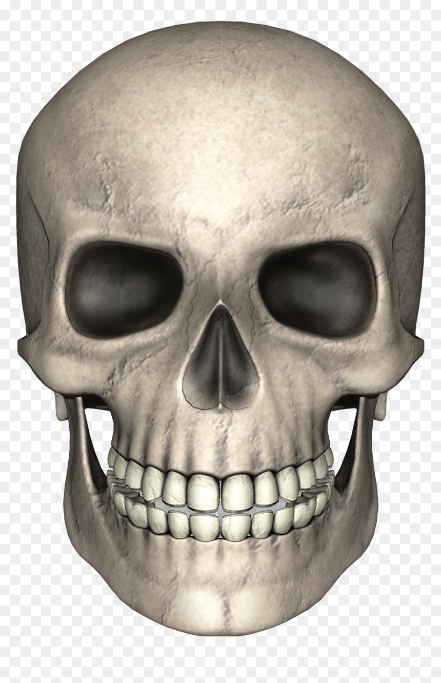 Skull Png Image - Skull Clipart Transparent Background, Png Download - transparent skull png