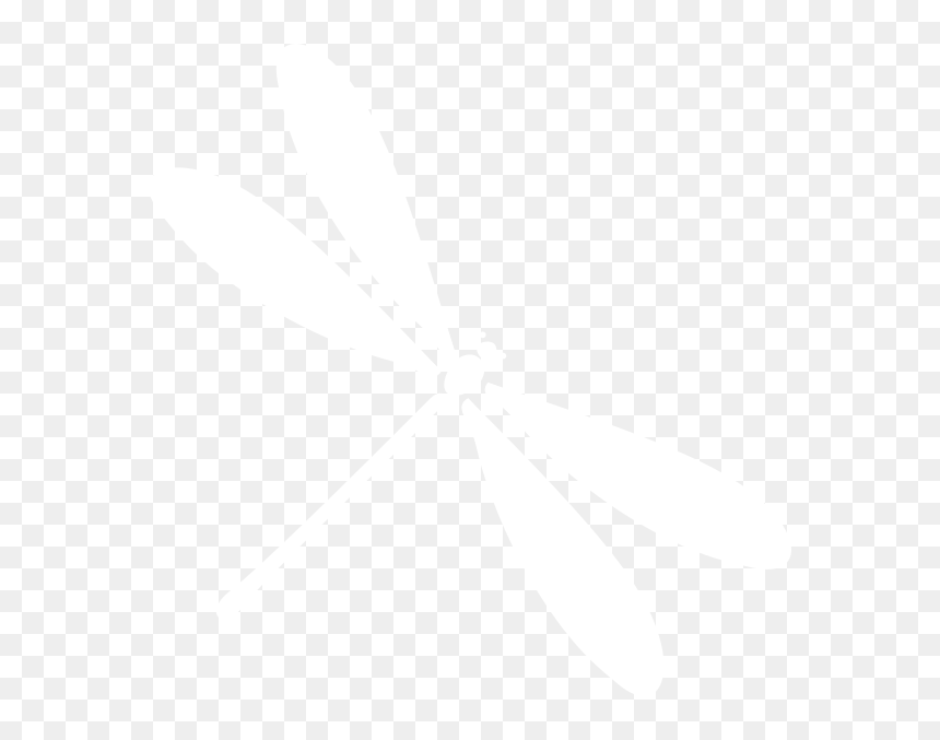 Damselfly, HD Png Download - dragonfly png