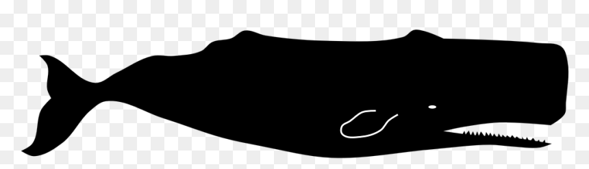 Clip Art, HD Png Download - sperm png