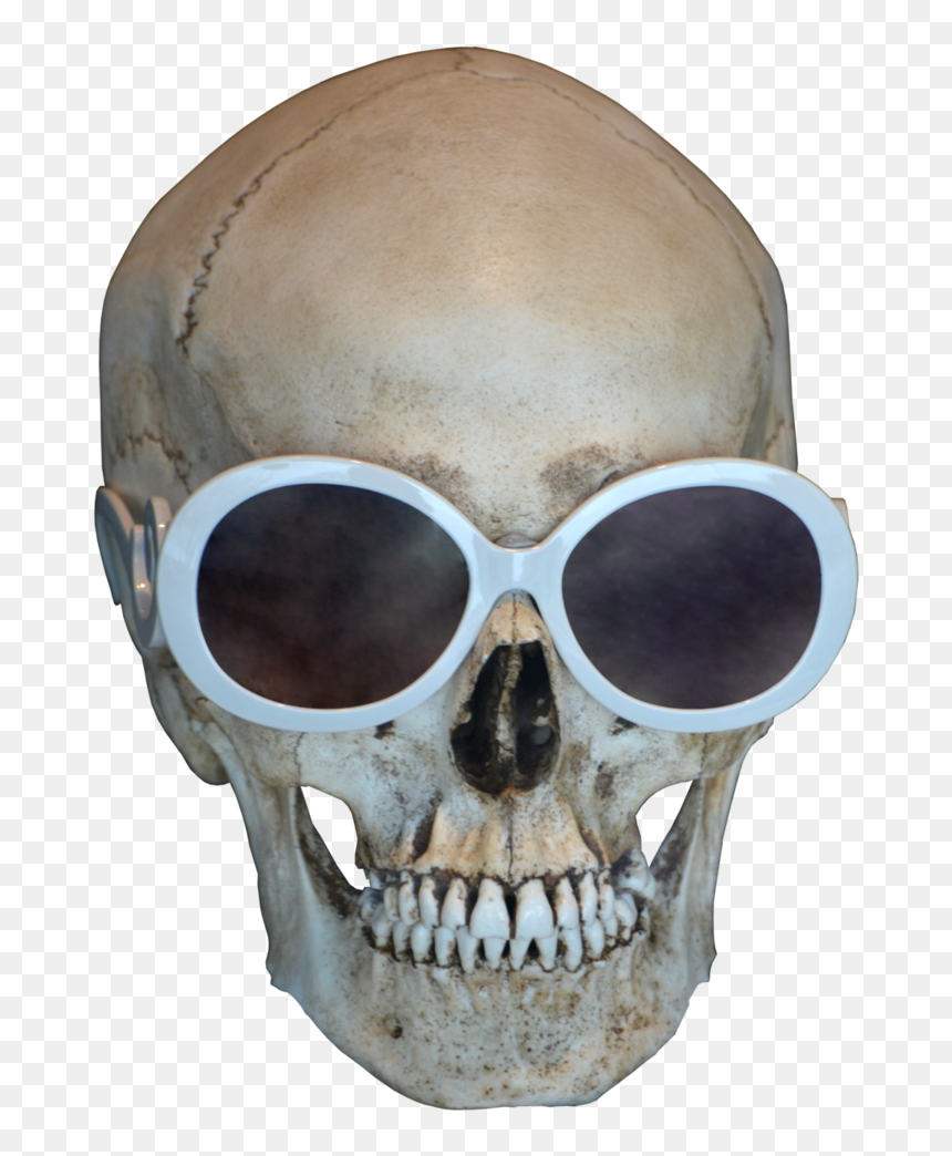 Skull Free Download Png - Skull, Transparent Png - transparent skull png