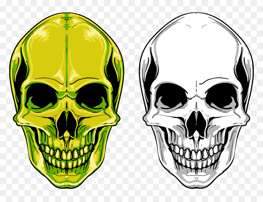 Transparent Transparent Skull Png - Vector Skull Png, Png Download - transparent skull png