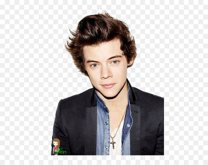 Harry Styles 2013 Brit Awards The X Factor One Direction - Harry Styles Birthday Wish, HD Png Download - harry styles png
