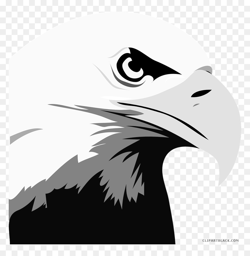 Head Animal Free Black White Images Clipartblack - Bald Eagle Clipart, HD Png Download - eagle head png