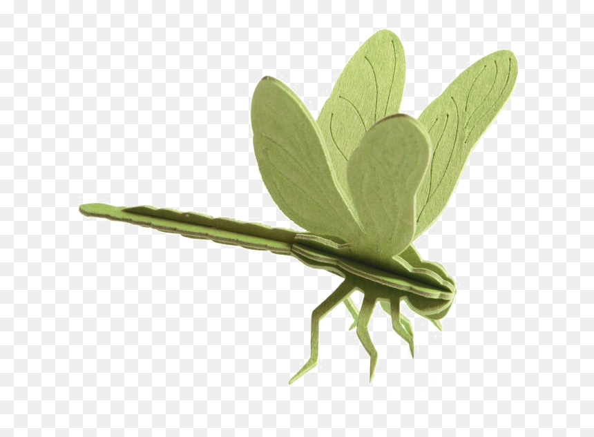 Dragonfly Png Transparent - Dragonfly Flat Pack, Png Download - dragonfly png