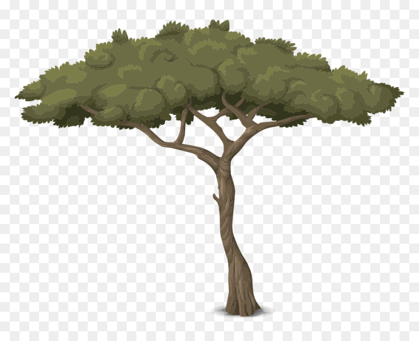 Baum Mit Langem Stamm, HD Png Download - tree trunk png