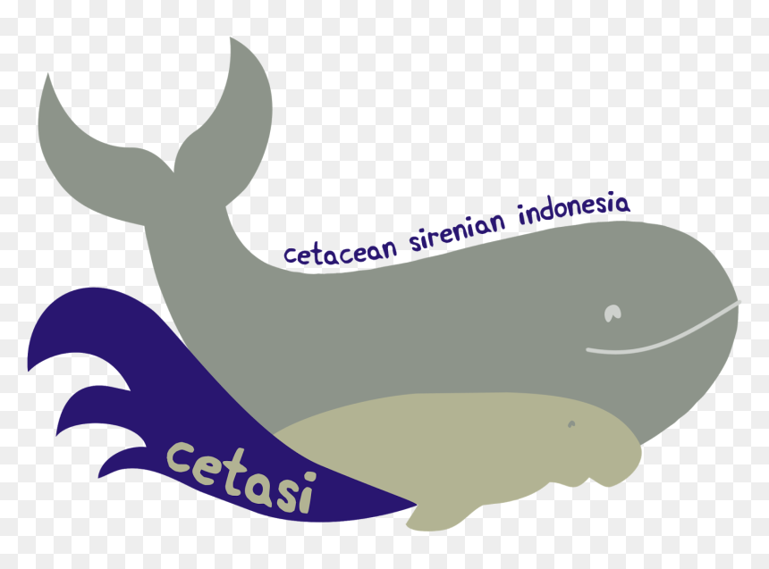 Sperm Whale Clipart Whale Harpoon , Png Download, Transparent Png - sperm png