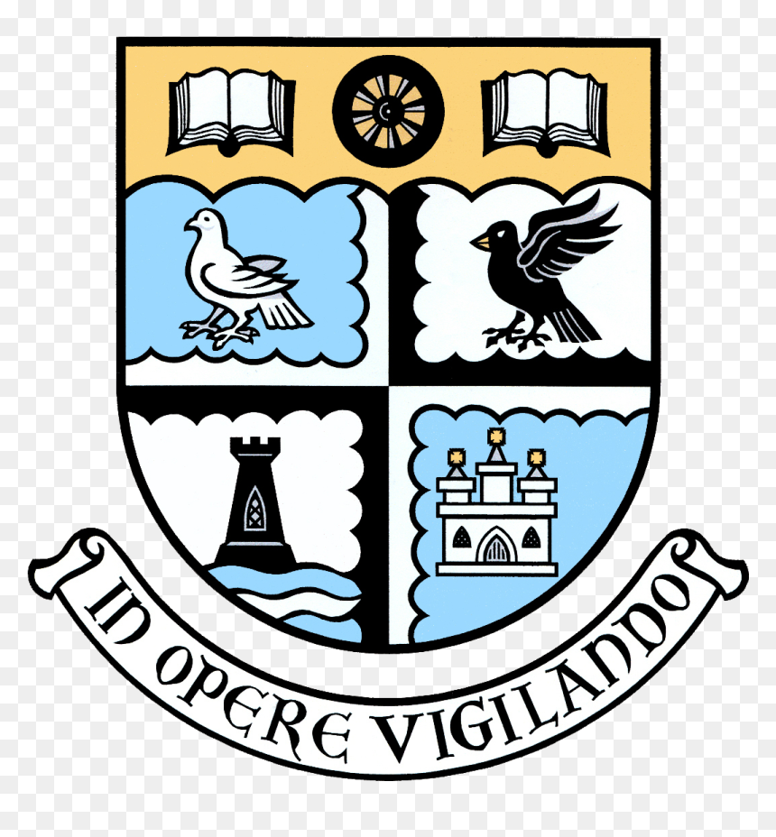 Viewforth High School Address, HD Png Download - vhs png